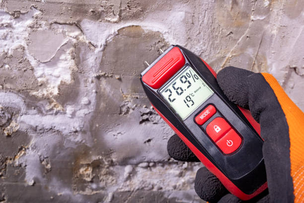Best Water Damage Restoration  in Westvle, IL