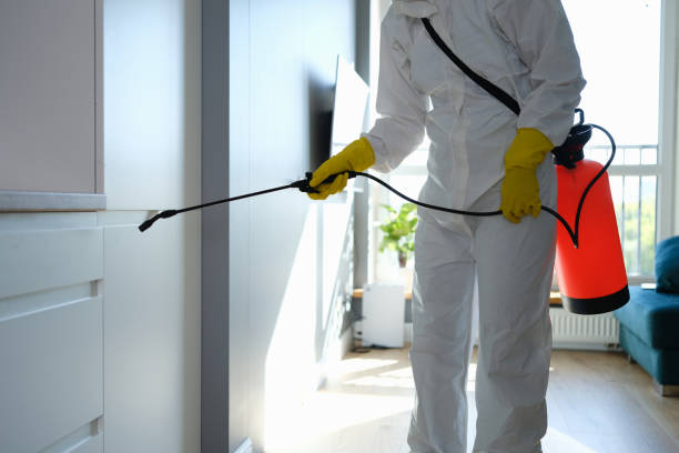 Best Mold Damage Repair  in Westvle, IL